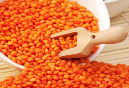 Crvena sočiva 500 Gr