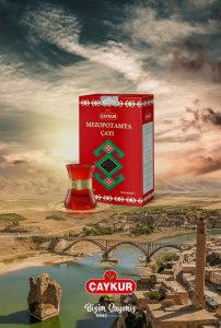 Çaykur Mesopotamia Tea 400g