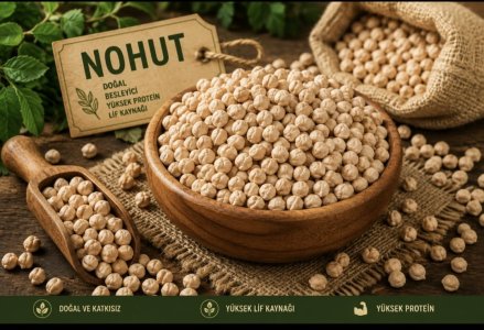 Slanutak 1 kg